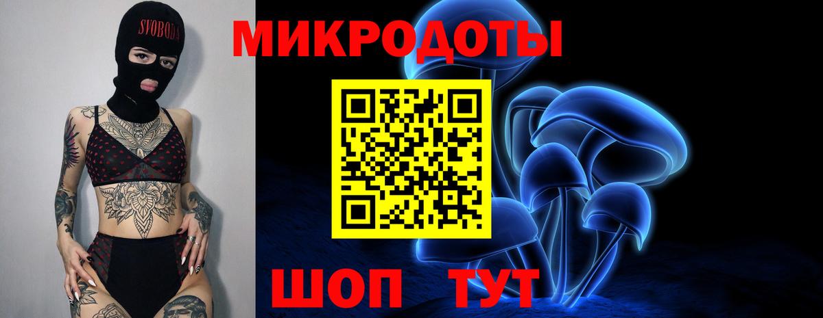 Галлюциногенные грибы Psilocybine cubensis Звенигород
